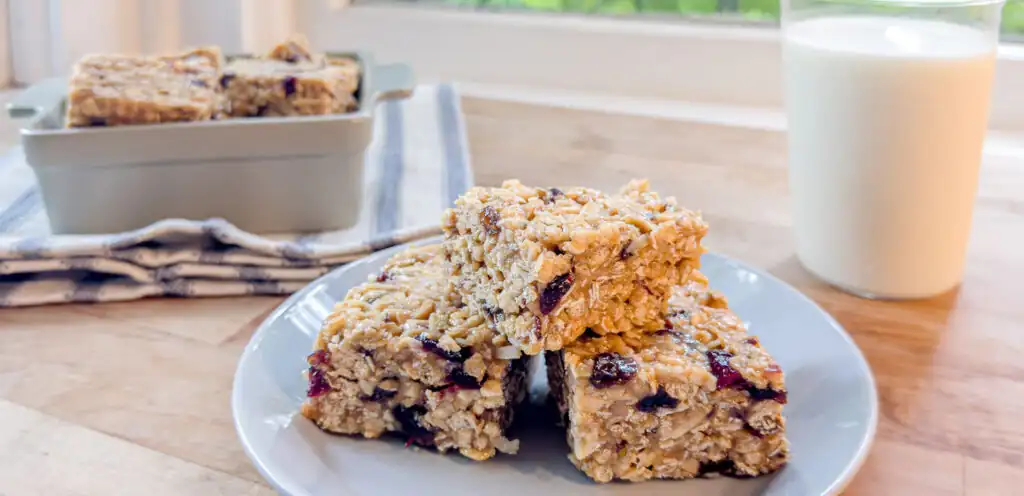 Granola Almond Fruit Squares